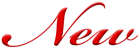新人 ゆず